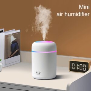 H2O Air Humidifier DSB13032