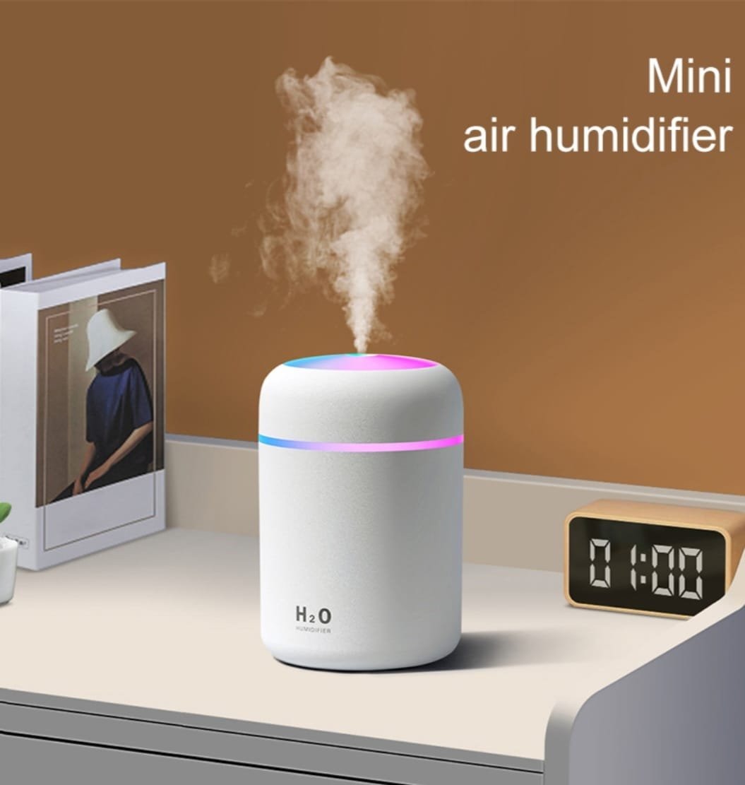 H2O Air Humidifier DSB13032